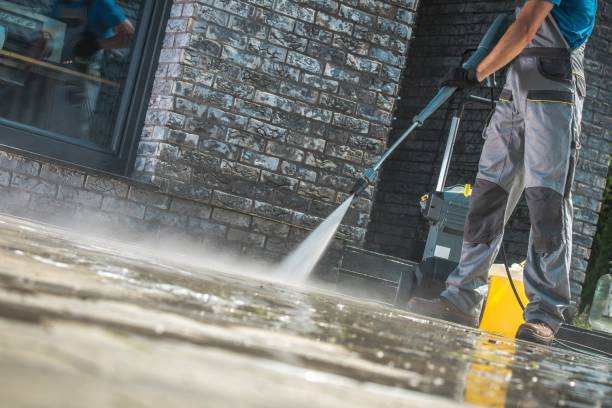 Best Animal Enclosure Cleaning  in Goodrich, MI