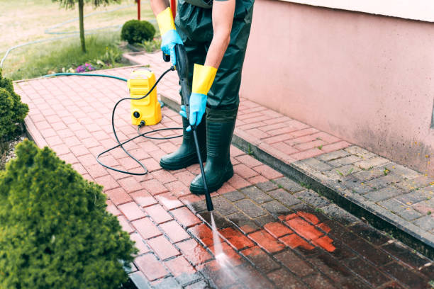 Best Dumpster Area Cleaning  in Goodrich, MI