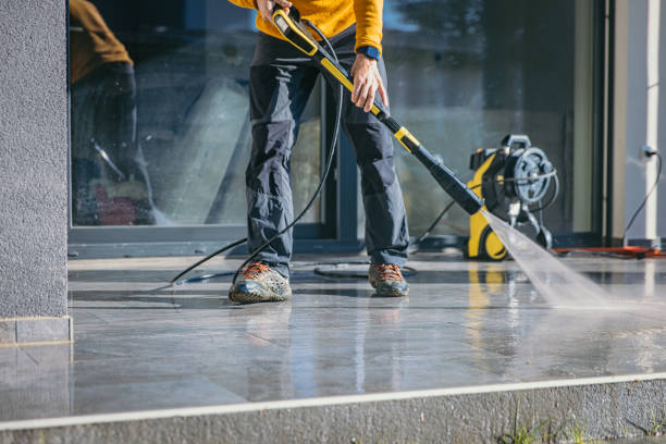 Best Roof Washing  in Goodrich, MI